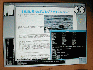 sh3xvnc1s.gif