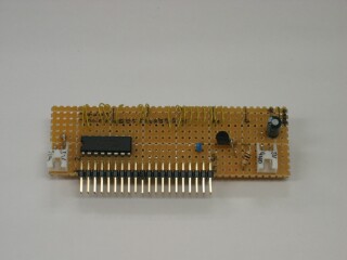 20031106c.jpg