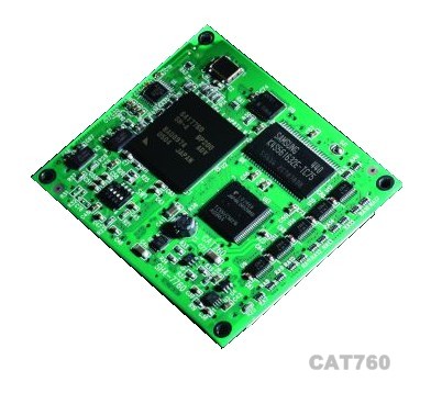 cat760s.jpg