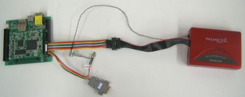 PALMICE_PIC1.jpg