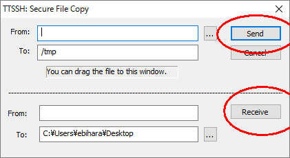 pic3.png